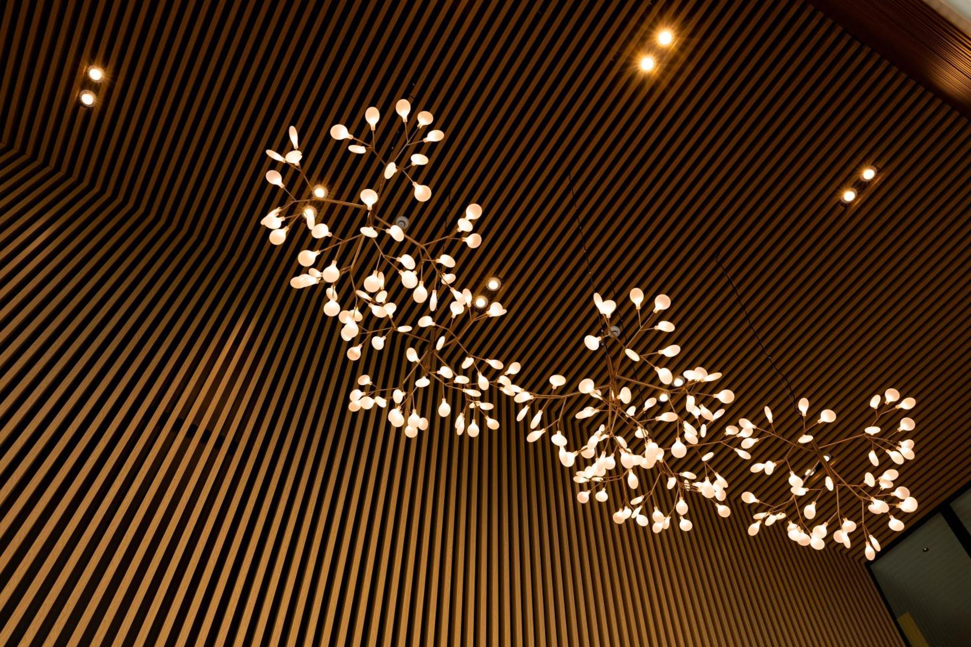Maxim Hotel - オークランド エクステリア 写真